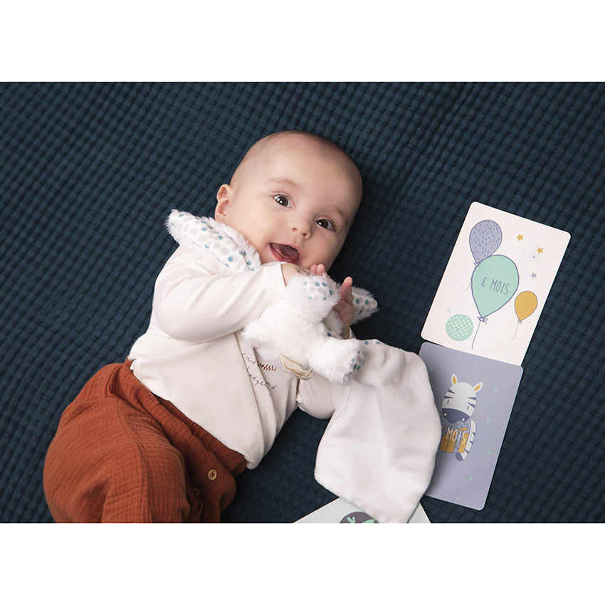 Cartes photo de naissance bébé garçon x28 - Prémaman