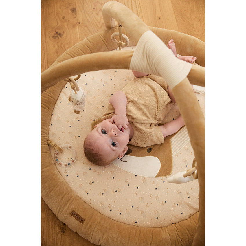 Activity mat with removable arches - Bande de Rêveurs - Maternity