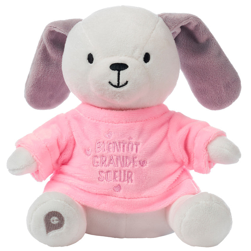 Habillage pour peluche annonce de naissance "tu vas être grande soeur" - Prémaman