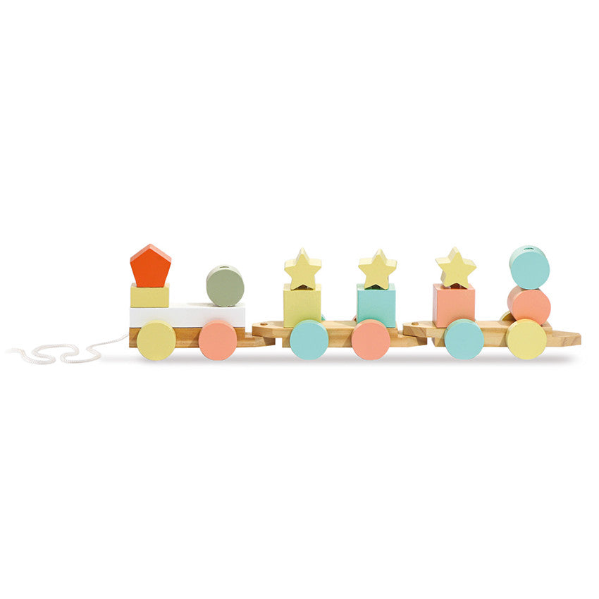 Crazy Colors Wooden Pull-Along Train First Age Toy - Prémaman