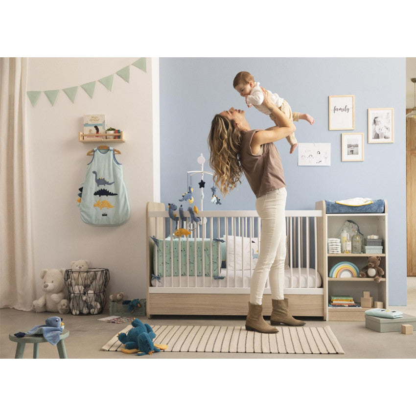 Spirale d'activités en polyester Mes amis les dinos - Prémaman