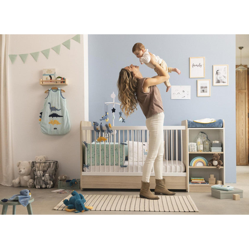 Doudou plat dinosaure - Prémaman