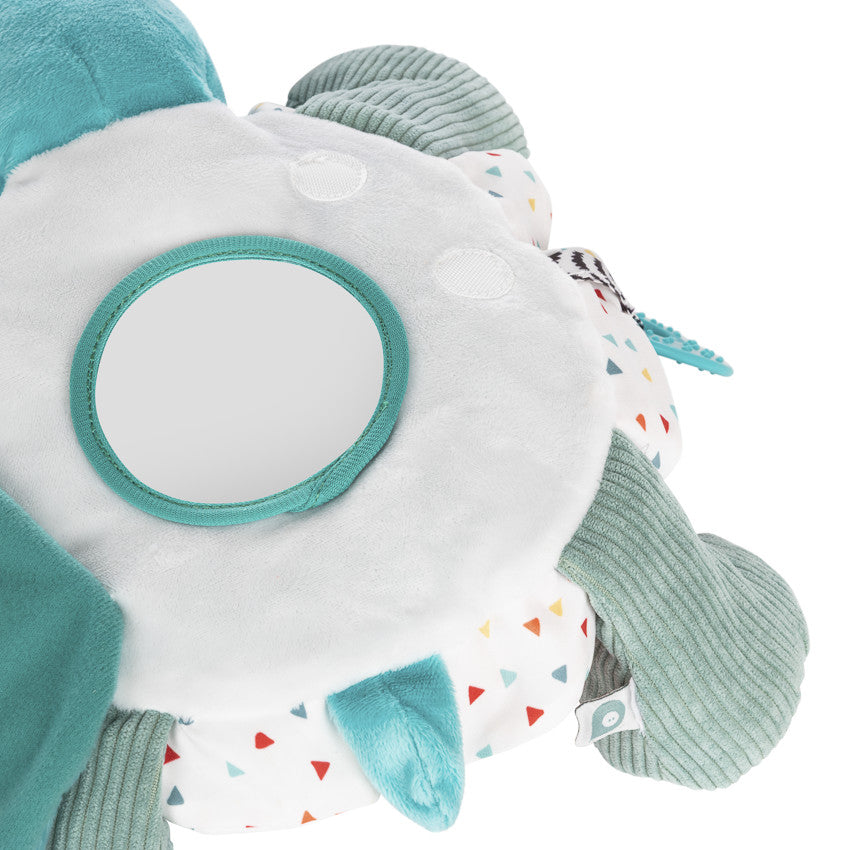 Sacha the turtle activity plush - Thyme Maternity