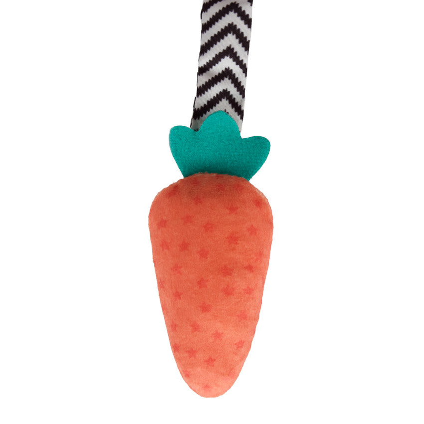 Spirale d'activités Sacha la tortue - Prémaman