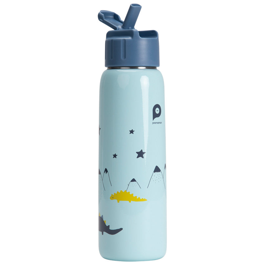 Metal gourd My dinosaur friends with straw 380 ml - Prémaman