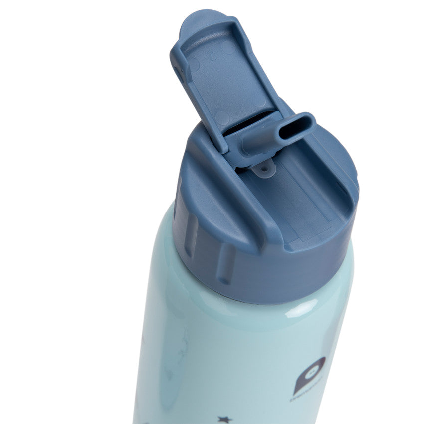 Gourde en métal Mes amis les dinos avec paille 380 ml - Prémaman